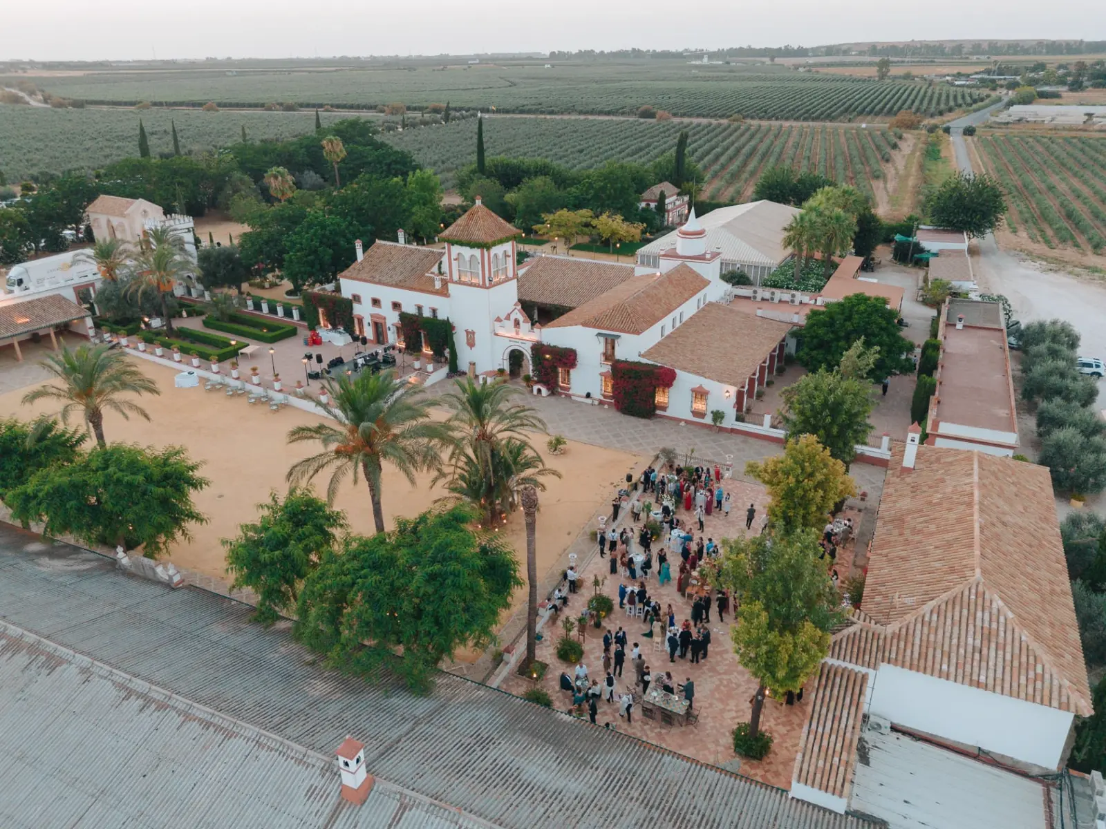 Vista aérea de Hacienda de Orán rodeada de olivares durante el cóctel de la boda